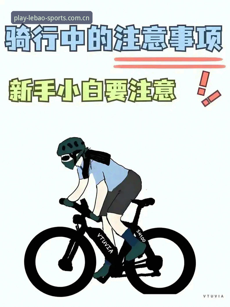 乐宝体育平台手机版实用指南：新手快速上手的必备知识